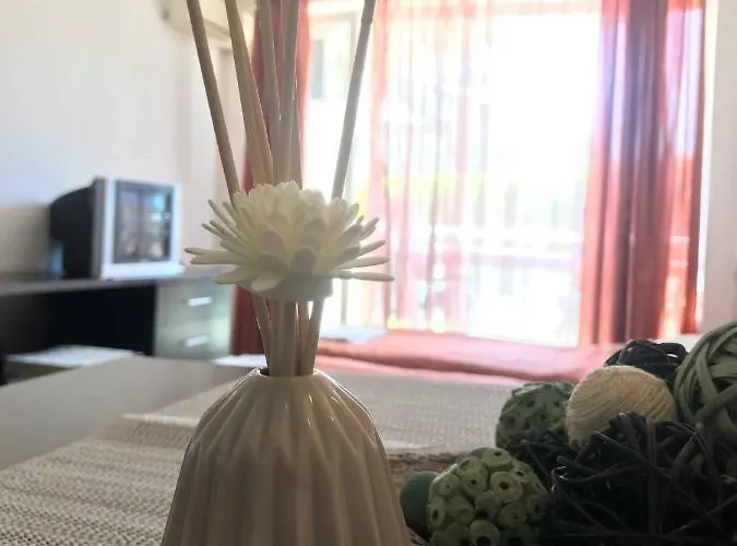 Sunny Relax & Lägenhet Burgas