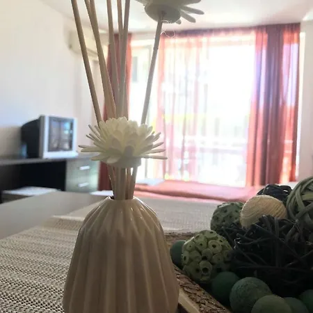 Sunny Relax & דירה בורגאס